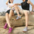 Outdoor Sports Hiking Shoes Antiskid Fishing Wading Shoes Lovers Beach Shoes, Size: 42(Gray)