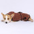 Dog Water Absorbing Towel Cat Bath Towel Bathrobes Pet Supplies S(Beige)