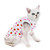 Female Cat Breathable And Anti-Licking Sterilization Clothing, Size: XL(Strawberry)