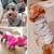 Pet Coral Fleece Costume Cute Chinchillas Dog Warm Coat, Size:XS(Coffee)