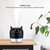 WT-H21 Angel Atomizing Humidifier with Colorful Night Lights, Water Tank Capacity: 200mL(White)