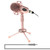 Yanmai Y20 Professional Game Condenser Microphone  with Tripod Holder, Cable Length: 1.8m, Compatible with PC and Mac for  Live Broadcast Show, KTV, etc.(Rose Gold)