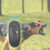 Portable Dog Repeller Adjustable Frequency Ultrasonic Dog Training Device(ArmyGreen)