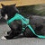 Pet Vest Harness + Traction Rope Set Reflective Breathable Dog Cat Harness, Size: L(Pink)