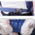 Doglemi Pet Outing Backpack Dog Shoulder Chest Bag Breathable Mesh Dog Cat Bag, Size:L(Blue)
