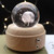Girl Bedside Lamp Crystal Ball Wooden Base Music Box Charging Glow Rotating Night Light, Random Music(Dandelion)