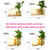 Wooden Bedside Wall Lamp Led Indoor Corridor Aisle Balcony Wall Lamp, Power source:  12W Tri-color Light(5026 Left)