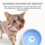 Dog Drinking Water Dog Pot Not Wet Mouth Splash Water Large Capacity Buoyancy Dog ??Bowl(Green)