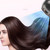 Mdjc-806 Travel Leafless Mini Hair Dryer Hotel Wall-Mounted Hair Dryer(EU Plug)