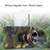 25W  Bluetooth Voice Amplifier Bird Hunting Speaker Supports USB/TF/FM 1000m Remote Control EU Plug(Camouflage)