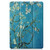 For iPad 10.2 2021 / 2020 / 2019 TPU Colored Drawing Horizontal Flip Leather Case with Three-folding Holder & Sleep / Wake-up Function(Apricot Flower)