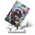 For Amazon Kindle Paperwhite 5 2021 Colored Drawing Stitching Leather Tablet Smart Case(Raccoon)
