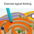 3 PCS Magnetic Ball Maze Children Early Education Intellectual Toys(Bird)