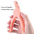 5 PCS Nail Scissors U-Shaped Scissors DIY French Nail Fake Nail Scissors, Specification: Orange With Hood