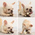 Pet Bite Resistant Toy Nylon Cowhide Molar Teeth Eating Play Bone Dog Toy, Specification: Small  (Chicken Leg)