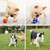 Dog Toy Latex Dog Bite Sound Ball Pet Toys, Specification: Small Football (Green)