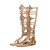 Ladies Summer High Tube Rivet Flip Flops Casual Roman Style Sandals, Size: 40(Golden 333-38)