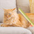 Cats And Dogs Long Hair Knotting Brush Pets Stainless Steel Detangling Comb, Size: Fine Teeth(Orange)