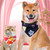 Cute Pet Triangle Towel Bib Cartoon Cats And Dogs Drool Towel Scarf, Style: 05