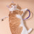 70cm Cat Bite Rope Toy Catnip Cat Teasing Stick(Orange)