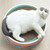 Cat Scratcher Can Replace Corrugated Bowl Claw Sharpener Cat Toy Supplies(Watermelon)