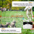 1 Drag 1 Pet Electronic Fence Wireless Stop Barker Outdoor Dog Collar Remote Control Dog Trainer(Gold) 1 Drag 1 Pet Electronic Fence Wireless Stop Barker Outdoor Dog Collar Remote Control Dog Trainer(Gold)