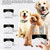 1 Drag 1 Pet Electronic Fence Wireless Stop Barker Outdoor Dog Collar Remote Control Dog Trainer(Gold) 1 Drag 1 Pet Electronic Fence Wireless Stop Barker Outdoor Dog Collar Remote Control Dog Trainer(Gold)