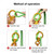 Climbing Rescue Figure 8 Descender Rappelling Gear Belay Device (Orange)