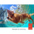 500m Dog Training Bark Stopper Remote Control Electric Shock Waterproof Electronic Collar(Blue)