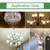 G4-2508 COB LED Corn Light, AC 12V, DC 12-24V (White Light)
