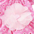 Dog Spring and Summer Thin Lace Princess Dress Small Pet Clothing, Size:S(Pink)