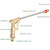 Electroplating Extension Rod Car Wash Water Gun Household Brush Car Gun Garden Watering Gun(Gold)