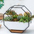 Simple Octagonal Geometric Wall Hanging Table Succulent Platter Bamboo Support Iron Frame Flower Pot(Black)