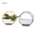 Simple Octagonal Geometric Wall Hanging Table Succulent Platter Bamboo Support Iron Frame Flower Pot(Black)
