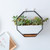 Simple Octagonal Geometric Wall Hanging Table Succulent Platter Bamboo Support Iron Frame Flower Pot(Black)