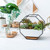 Simple Octagonal Geometric Wall Hanging Table Succulent Platter Bamboo Support Iron Frame Flower Pot(Black)