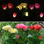 Solar LED Artificial Rose Lantern Garden Decoration Lawn Lamp(Pink)