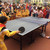 4 in 1 Table Tennis Racket + Table Tennis + Net + Rack Set