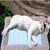 Summer Ice Silk Nest Pads Small and Medium-sized Multifunctional Cool Pet Nest Dog Cat Pad, Size:S(Pink)
