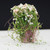 Artificial Handmade Model Material Sand Table Building Bush Flower Finished Flower(White Pink Flower)