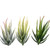 Artificial Mini Aloe Plastic Plants Craft Floristry Landscape Garden Family Office Decoration(Green not Flocked)