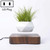 Diamond Plastic Flower Pot + Dark Wood Grain Base Magnetic Levitation Potted Plant Home Decoration, US Plug