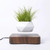 Diamond Plastic Flower Pot + Dark Wood Grain Base Magnetic Levitation Potted Plant Home Decoration, US Plug