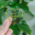 2 PCS Transparent Hot Stamping Heart-shaped Sticker Thank You Gift Decoration Sticker(3.8cm / 1.5inch) 2 PCS Transparent Hot Stamping Heart-shaped Sticker Thank You Gift Decoration Sticker(3.8cm / 1.5inch)