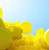 Bee Theme Party Decoration Supplies White Yellow Agate Confetti Latex Balloon Decoration Set