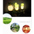 Solar Outdoor Simulation Potted Plants Landscape Lamp LED Courtyard Lawn Light(Three Head Cactus)