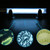 2 PCS 110V 9W UV Ultraviolet Algae Disinfection Fish Tank Lamp, US Plug