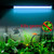 2 PCS 220V 5W UV Ultraviolet Algae Disinfection Fish Tank Lamp, Regular Payment, EU Plug