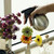 2 PCS Stainless Steel Watering Can Clean Disinfection Spray Bottle 2 PCS Stainless Steel Watering Can Clean Disinfection Spray Bottle
