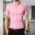 Men Business Shirt Short Sleeves Turn-down Collar Shirt, Size:XXXXL(Pink)